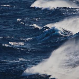 如果把小兰的衣服扔掉图片
