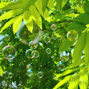 如果把小兰的衣服扔掉图片
